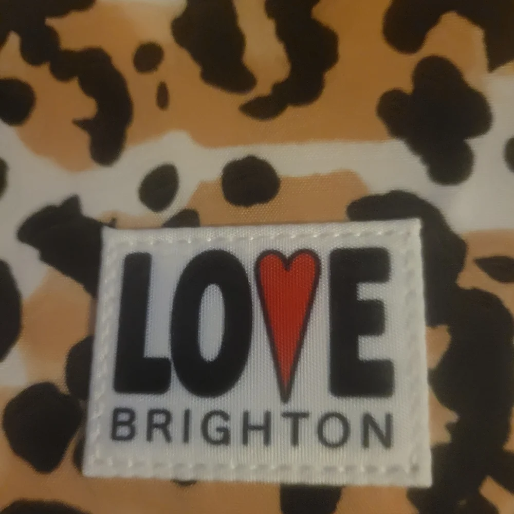 Brighton this new